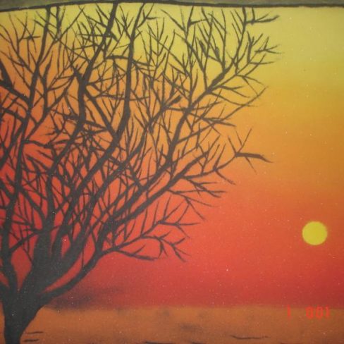 Smt.T.J.Patel Commerce College 1 (6)